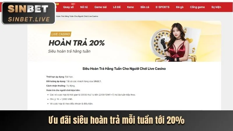 Xác nhận và hoàn tất đăng ký tài khoản nmlive