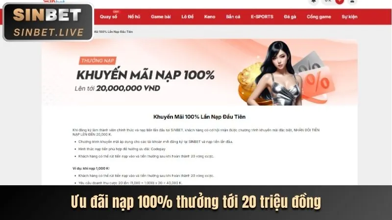 Cá cược thể thao nmlive